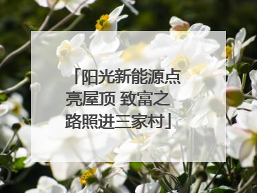 阳光新能源点亮屋顶 致富之路照进三家村