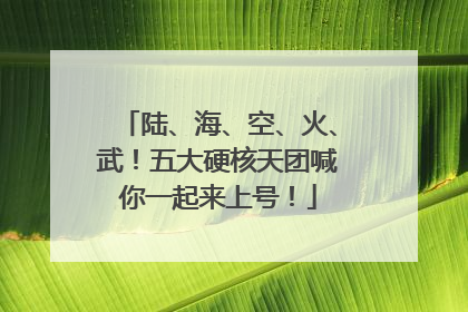陆、海、空、火、武！五大硬核天团喊你一起来上号！