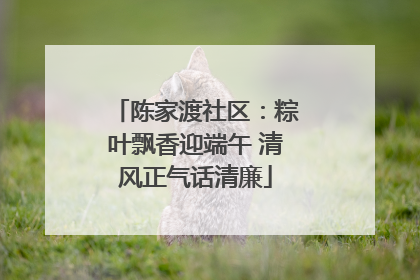 陈家渡社区：粽叶飘香迎端午 清风正气话清廉
