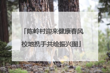 陈岭村迎来健康春风 校地携手共绘振兴图