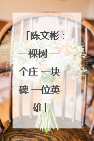 陈文彬：一棵树 一个庄 一块碑 一位英雄
