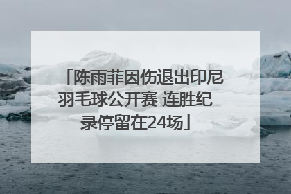 陈雨菲因伤退出印尼羽毛球公开赛 连胜纪录停留在24场
