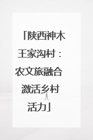 陕西神木王家沟村：农文旅融合 激活乡村活力