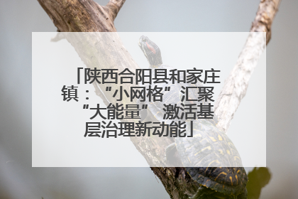 陕西合阳县和家庄镇：“小网格”汇聚“大能量” 激活基层治理新动能