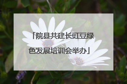 院县共建长豇豆绿色发展培训会举办