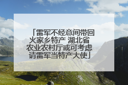 雷军不经意间带回火家乡特产 湖北省农业农村厅或可考虑请雷军当特产大使