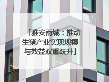 雅安雨城：推动生猪产业实现规模与效益双重跃升