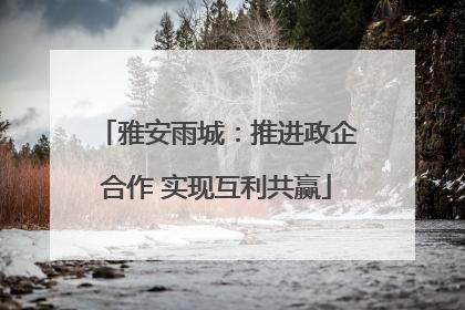 雅安雨城：推进政企合作 实现互利共赢