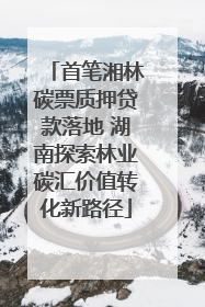 首笔湘林碳票质押贷款落地 湖南探索林业碳汇价值转化新路径