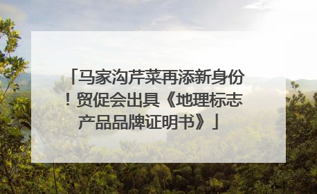 马家沟芹菜再添新身份！贸促会出具《地理标志产品品牌证明书》