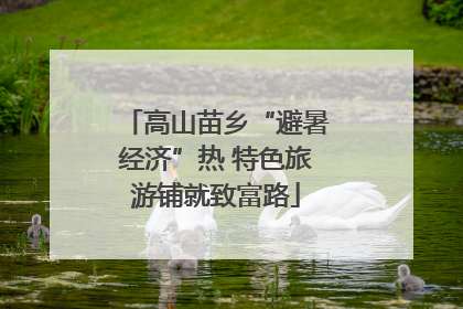 高山苗乡“避暑经济”热 特色旅游铺就致富路