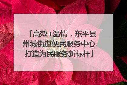 高效+温情，东平县州城街道便民服务中心打造为民服务新标杆