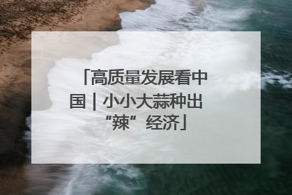 高质量发展看中国｜小小大蒜种出“辣”经济