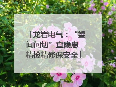 龙岩电气：“望闻问切”查隐患 精检精修保安全