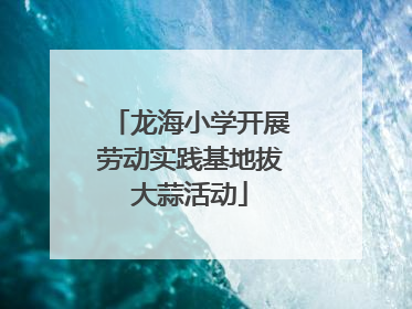 龙海小学开展劳动实践基地拔大蒜活动