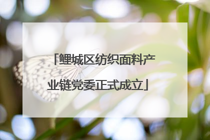 鲤城区纺织面料产业链党委正式成立