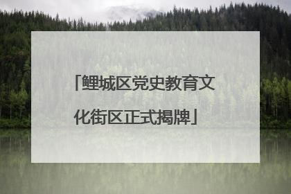 鲤城区党史教育文化街区正式揭牌