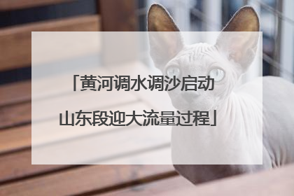 黄河调水调沙启动 山东段迎大流量过程