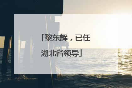 黎东辉，已任湖北省领导