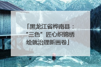 黑龙江省桦南县：“三色”匠心织锦绣 绘就治理新画卷