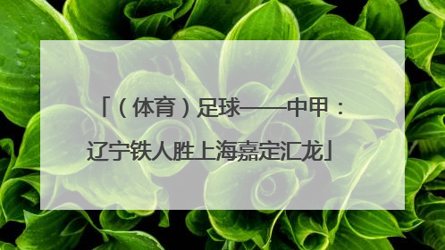（体育）足球——中甲：辽宁铁人胜上海嘉定汇龙