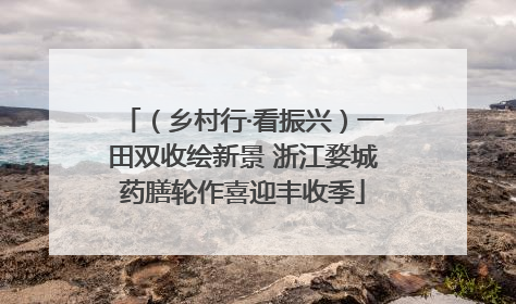 （乡村行·看振兴）一田双收绘新景 浙江婺城药膳轮作喜迎丰收季