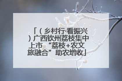 （乡村行·看振兴）广西钦州荔枝集中上市 “荔枝+农文旅融合”助农增收
