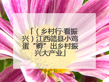 （乡村行·看振兴）江西赣县小鸡蛋“孵”出乡村振兴大产业