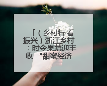 （乡村行·看振兴）浙江乡村：时令果蔬迎丰收 “甜蜜经济”促振兴