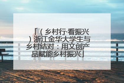 （乡村行·看振兴）浙江金华大学生与乡村结对：用文创产品赋能乡村振兴