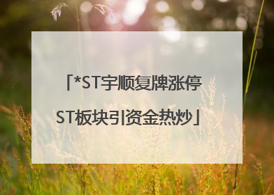 *ST宇顺复牌涨停 ST板块引资金热炒