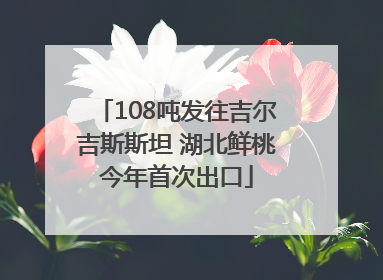 108吨发往吉尔吉斯斯坦 湖北鲜桃今年首次出口