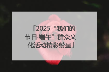 2025“我们的节日·端午”群众文化活动精彩纷呈