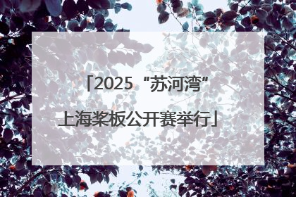2025“苏河湾”上海桨板公开赛举行