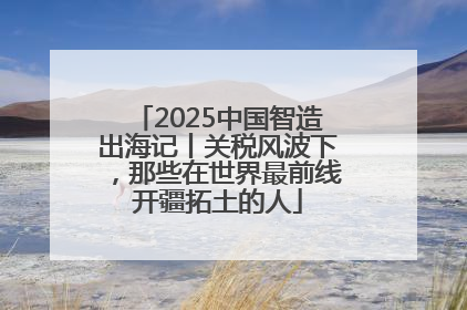 2025中国智造出海记丨关税风波下，那些在世界最前线开疆拓土的人