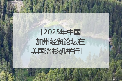 2025年中国—加州经贸论坛在美国洛杉矶举行