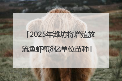 2025年潍坊将增殖放流鱼虾蟹8亿单位苗种