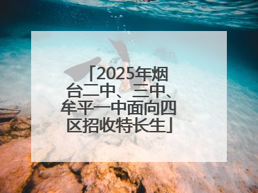 2025年烟台二中、三中、牟平一中面向四区招收特长生
