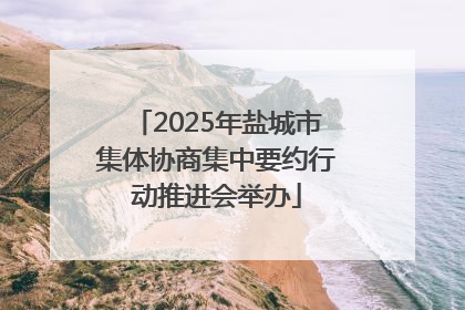 2025年盐城市集体协商集中要约行动推进会举办