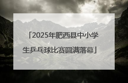 2025年肥西县中小学生乒乓球比赛圆满落幕