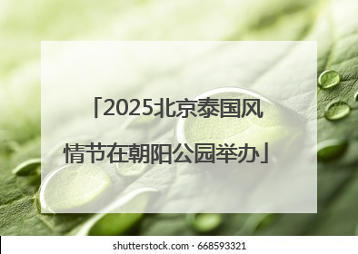 2025北京泰国风情节在朝阳公园举办