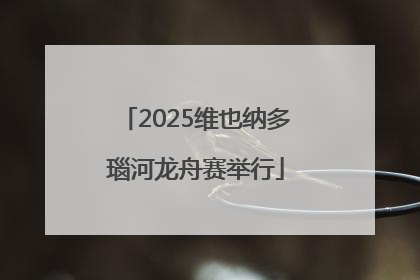 2025维也纳多瑙河龙舟赛举行