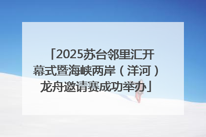 2025苏台邻里汇开幕式暨海峡两岸（洋河）龙舟邀请赛成功举办