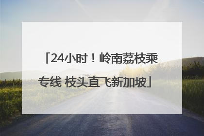 24小时！岭南荔枝乘专线 枝头直飞新加坡