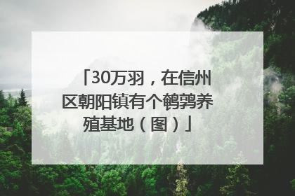 30万羽，在信州区朝阳镇有个鹌鹑养殖基地（图）