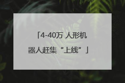 4-40万 人形机器人赶集“上线”