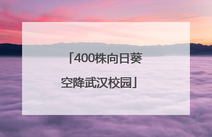 400株向日葵空降武汉校园