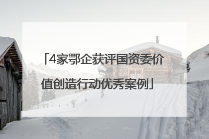 4家鄂企获评国资委价值创造行动优秀案例
