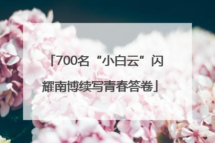 700名“小白云”闪耀南博续写青春答卷