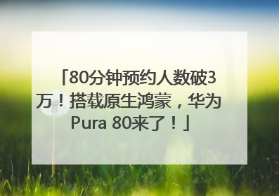 80分钟预约人数破3万！搭载原生鸿蒙，华为Pura 80来了！